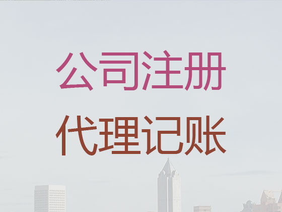 东莞代理记账-财税服务公司